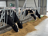 Feed table enclosure