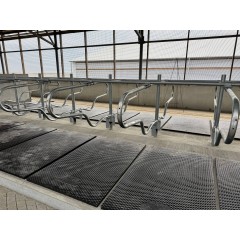 Розділювач стійломісць (бугель) для безприв'язного утримання ВРХ