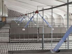 Відгодівельник в Чернігівській області
