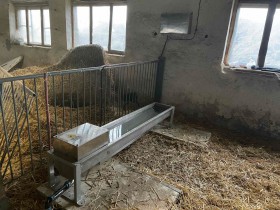 Drinking bowl with heating for sheep
