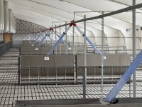 Цеп-шайбова система роздачі кормів