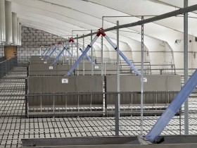 Цеп-шайбова система роздачі кормів Цеп-шайбова система роздачі кормів