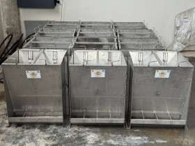 Бункерна годівниця для свиней на дорощуванні