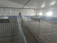 Fences for pigs (cage)
