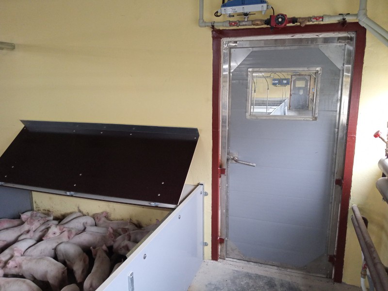 Photo-report of doors for livestock premises